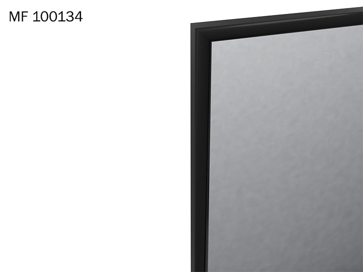 mirrors MF100134_2.jpg