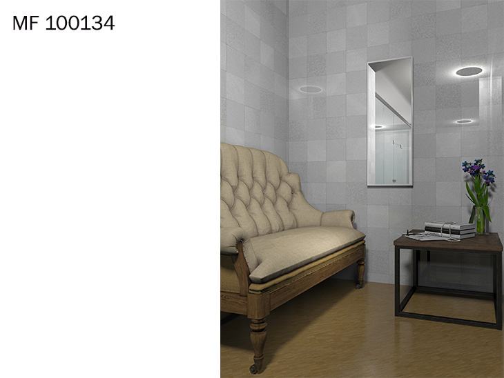 mirrors MF100134_3.jpg